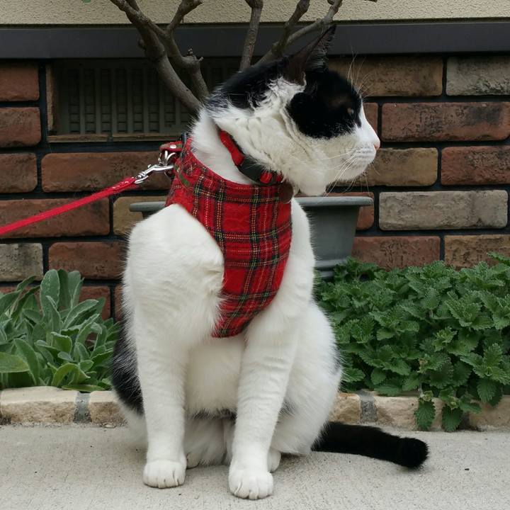 44c5f3de 1250 4c6c 8e15 bc4fb896a9eb 1523940370660