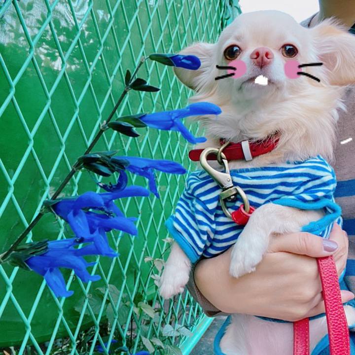 44c6a941 5097 4508 92fa cc8e394feb78 1636005954144