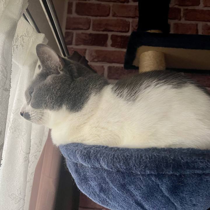 44c6c5aa 0ada 4cb7 a69a 2108b50a4ea2 1667170006361