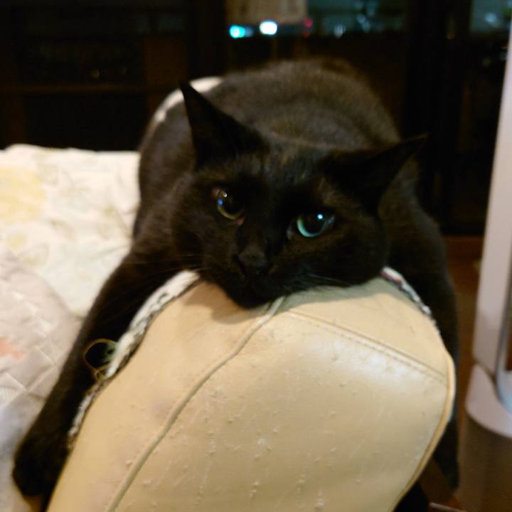 44c6d793 6690 4c4d 8c57 4f456413e42c 1760055426457