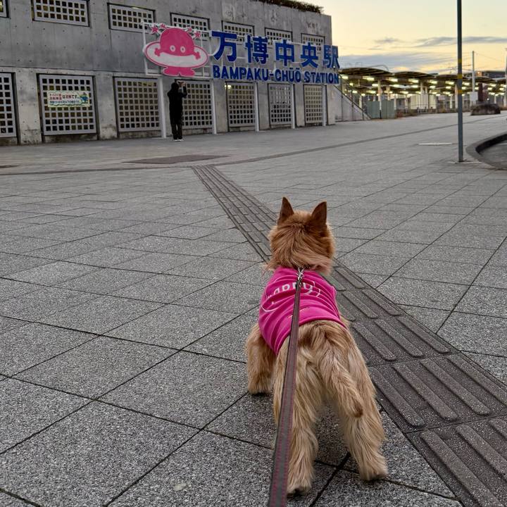 44c6d921 89de 43a3 8769 f407e9722a58 1766980842986