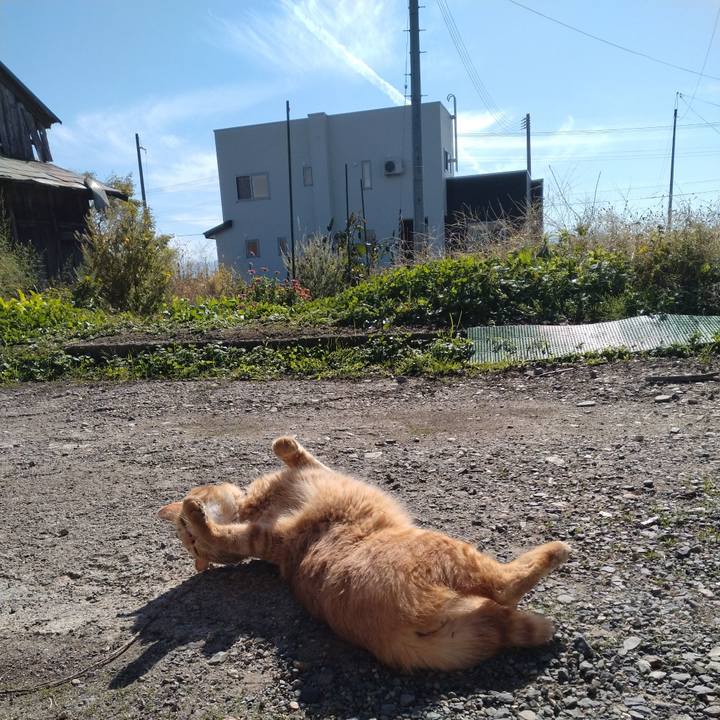 44c6dbde 46c8 4bb8 9e8a fc347a32e636 1666842634644