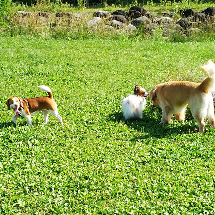 44c70ef8 3755 4044 a31b 288bbc5a2d55 1531556074442