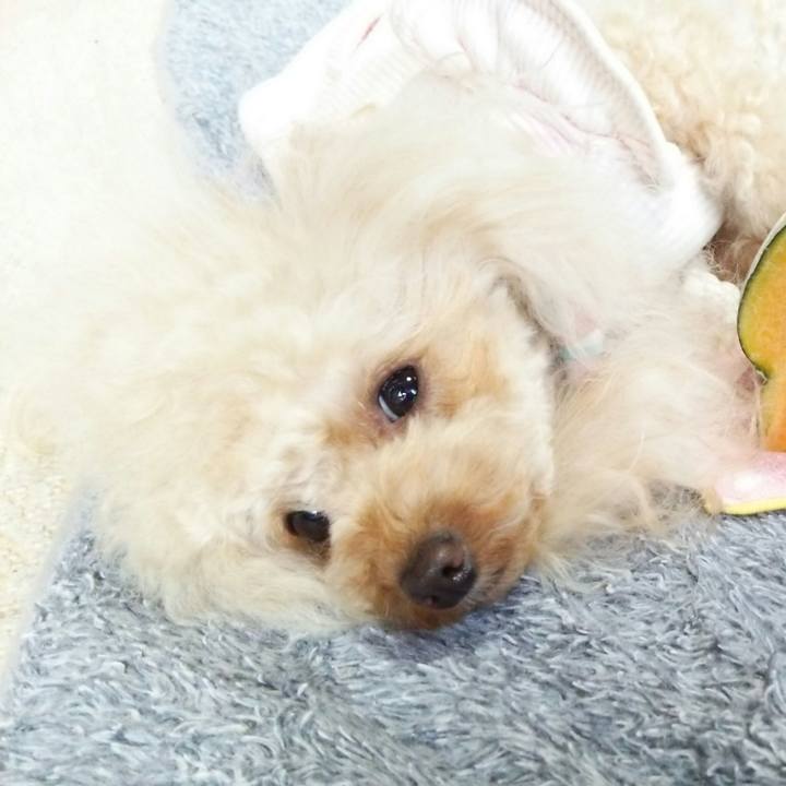 44c71645 02a1 4638 84ba f5178bdbb49d 1515155455222