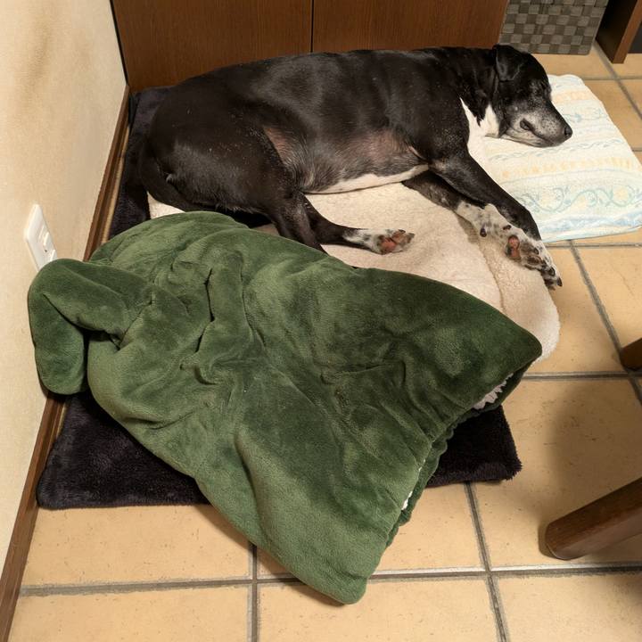 44c74406 5ed8 4555 81c0 4f076c091b78 1761525620890