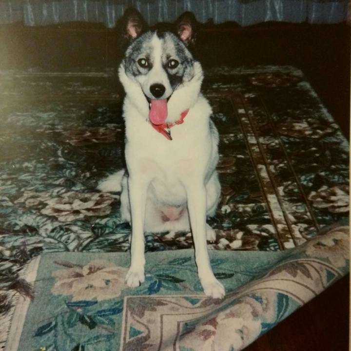 44c7b7ef d637 45b5 9e1b e3f351a9f0fb 1513051387225