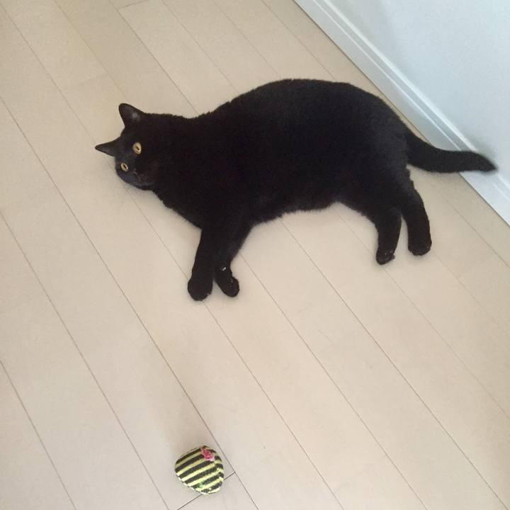 44c7bd09 85ab 4a02 bb28 dd64dcc1965e 1595405282114