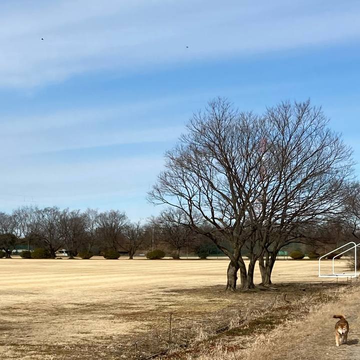 44c7dee9 e436 4d49 85d7 64ad8532b499 1643521572038