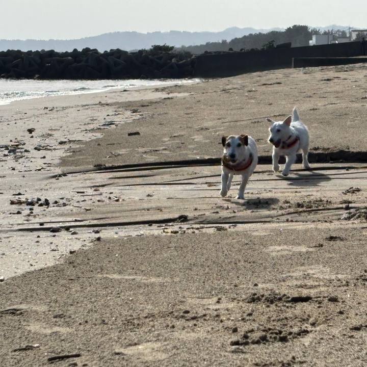 44c80ee5 f90a 49e3 ac27 748df9dac393 1771898632970