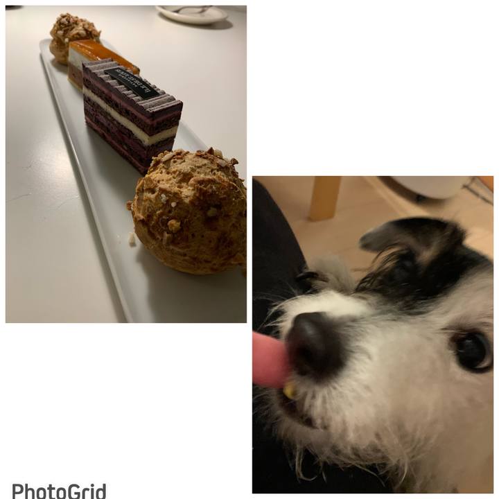 44c840f1 0e05 4177 b0f4 e2c969cbb016 1672919043902