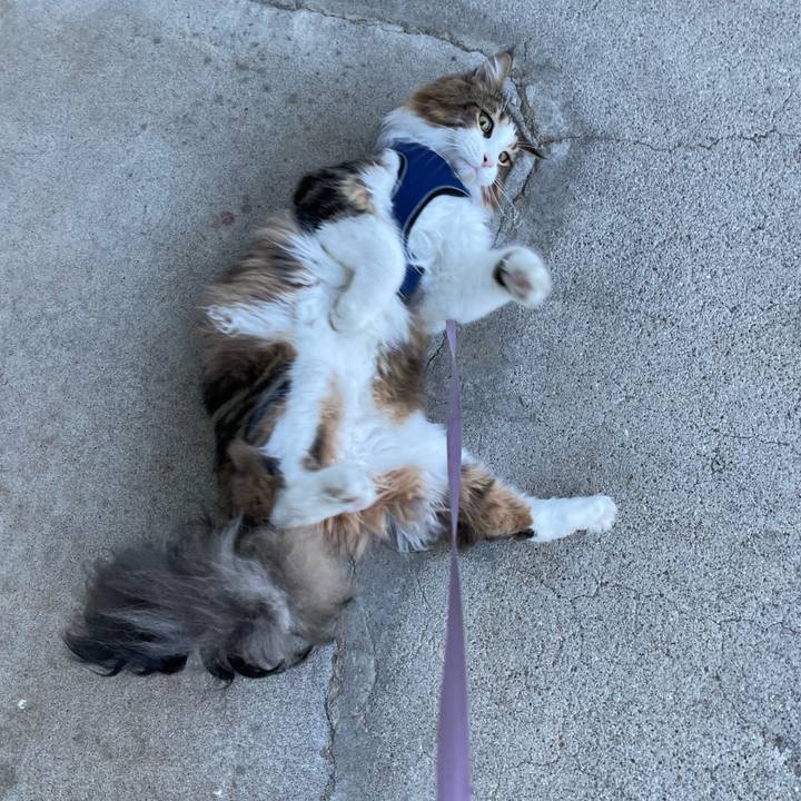 44c8a574 f27c 4105 9682 141785620158 1656792438471