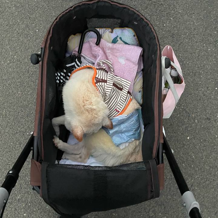 44c8c9ca 237c 4690 84b7 f8a066a78d3a 1661944389106