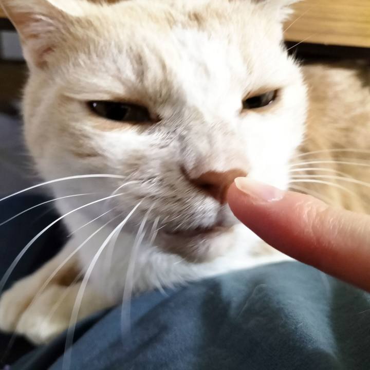 44c8d86b cae5 477d b2de 62e0bdd1a982 1702466338087