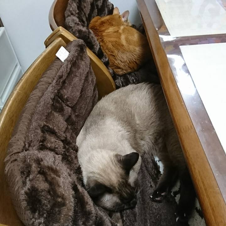 44c92b85 f0a7 4779 a75e f12d51d3e814 1512176756665