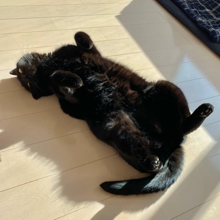 44c9791f d152 4d41 8377 6474ca6809a1 1613629308559