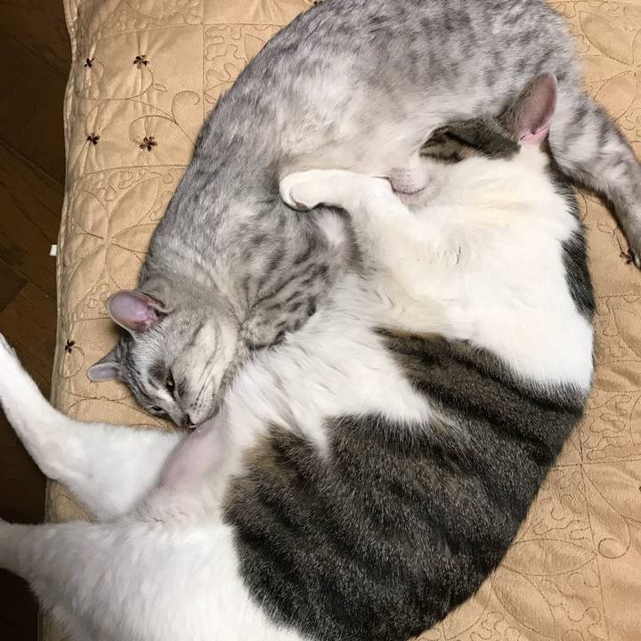 44c99f94 43b3 47c2 9e26 939962889910 1516016108245