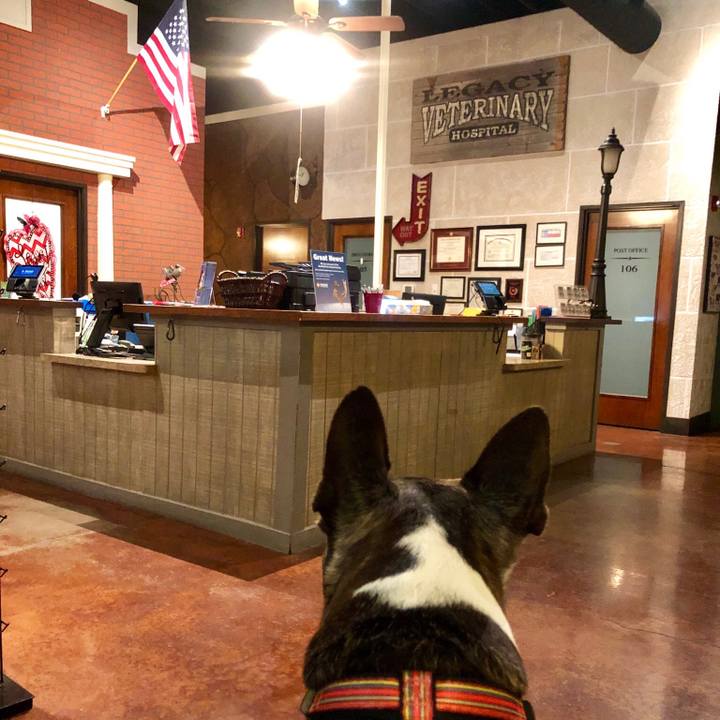 44c9c560 7c13 43aa 872f a908350f1512 1549938420671