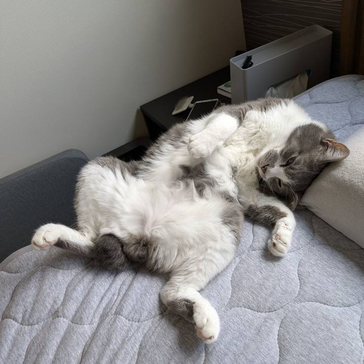 44ca0900 1aca 4d06 97bf 2961c5f3b0b4 1756692479790