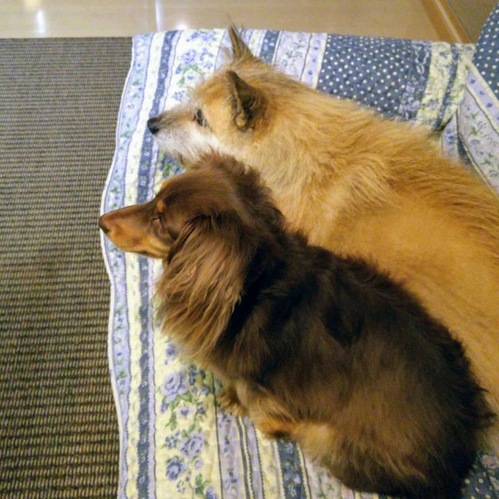 44ca41a2 caad 403f befa 7b8f30d2b1a1 1510476426130