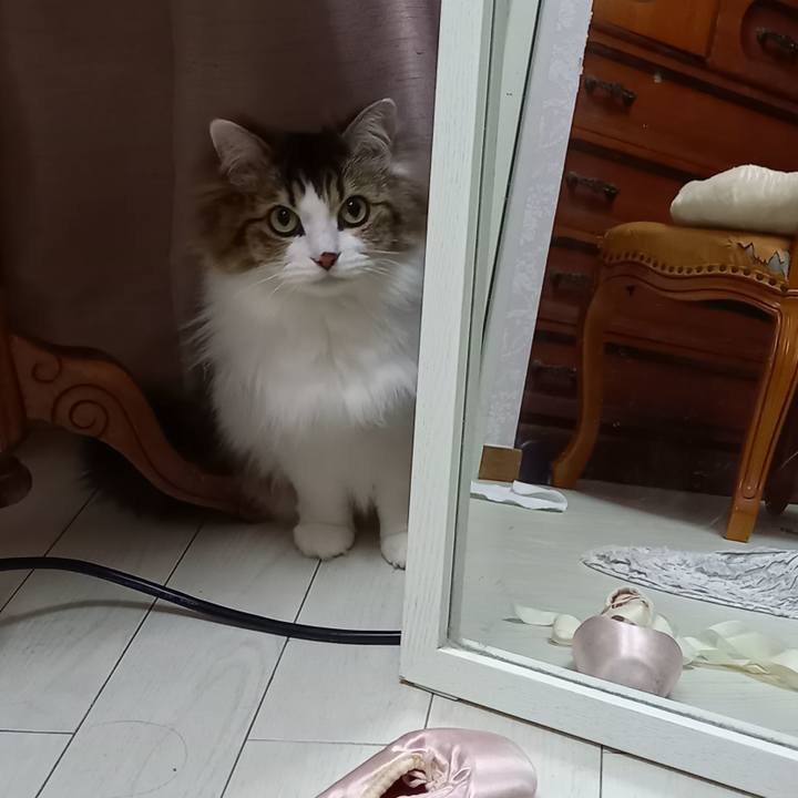 44ca748f 29d0 4c65 9dd7 61a5bcf566d6 1615930986423