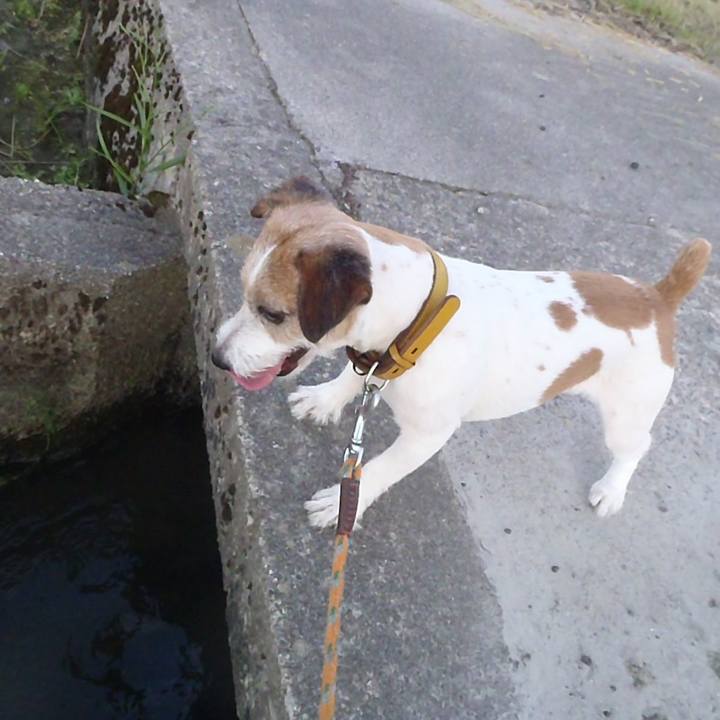 44cafee8 cd2d 4b6d 88cb cfba62aaa4f0 1516346044008