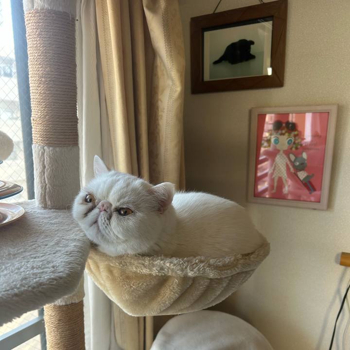 44cb0724 c2d6 4c41 8625 ec7438082f7c 1771648524971