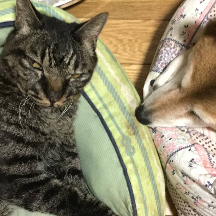 44cb45b0 57df 4d66 8c45 b97a360c7f65 1630845925373