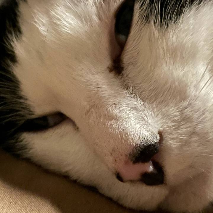 44cb47d8 bd6f 4b45 ad7d ec3fe79013a5 1624055918629