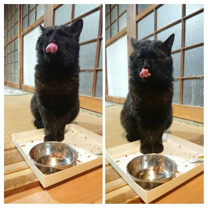 44cb4b09 0c73 4495 978b 76952ac6c82a 1619006911185