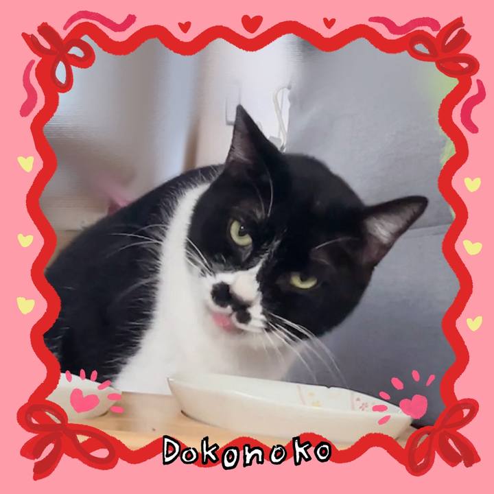 44cb75ea 0c25 47fd a3fc 4651ba24c492 1706851875144