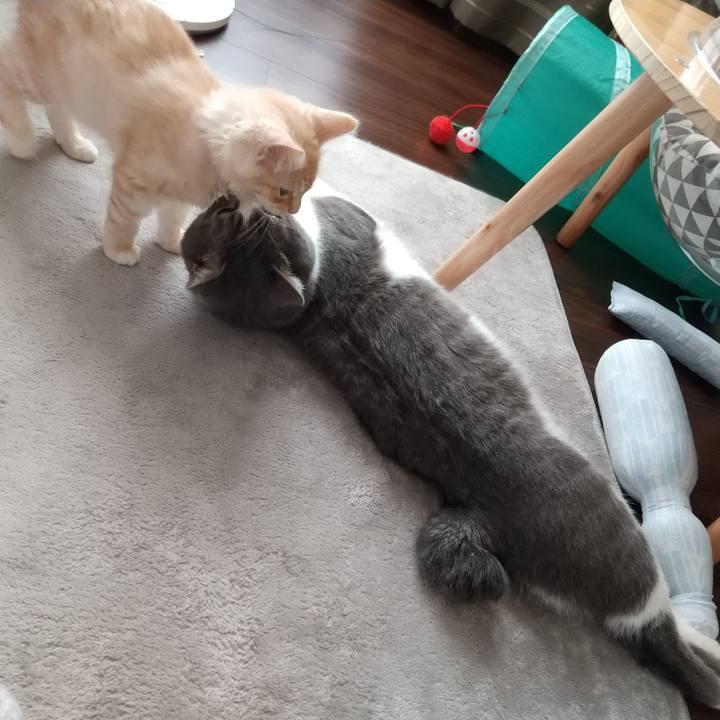 44cb7804 8c73 43e8 82e7 272b8eb1d8a7 1605941116061