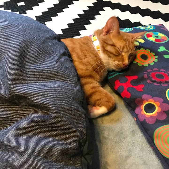 44cb9c8b 0027 432f 9eab 21bd260cface 1508562150520