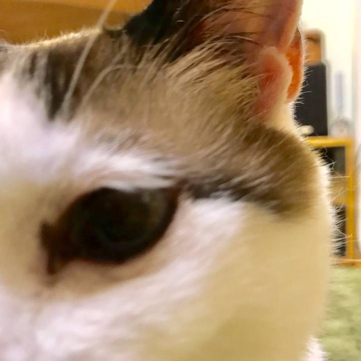 44cbb1c7 5e6a 4ed2 b571 97580ebdaaaa 1559133127262