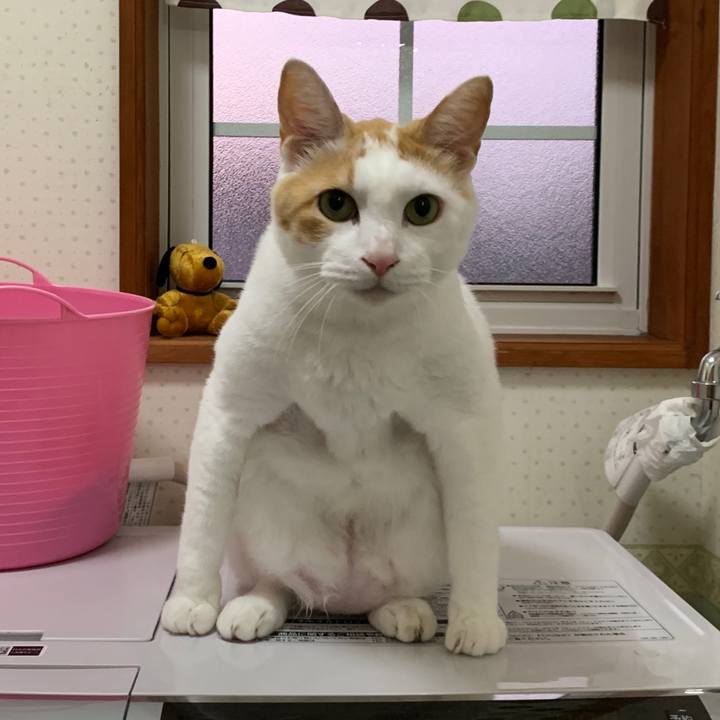 44cbc80f b85b 4478 969b 13ab9fc1e207 1655301317833