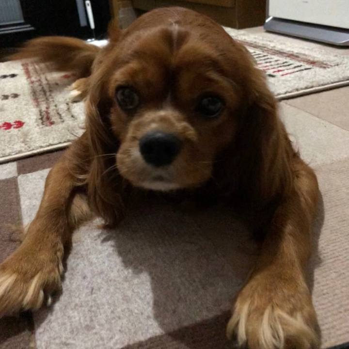 44cbf022 6596 4233 9aa1 b14e54c56a37 1590580410386