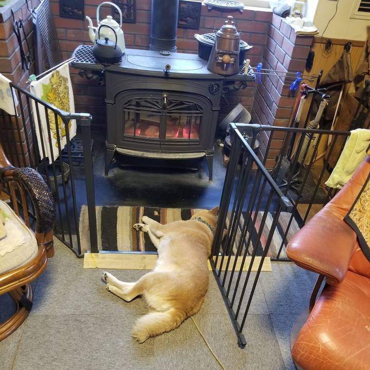 44cc17b0 88a7 42fc 8111 936b4beb8949 1708555426617