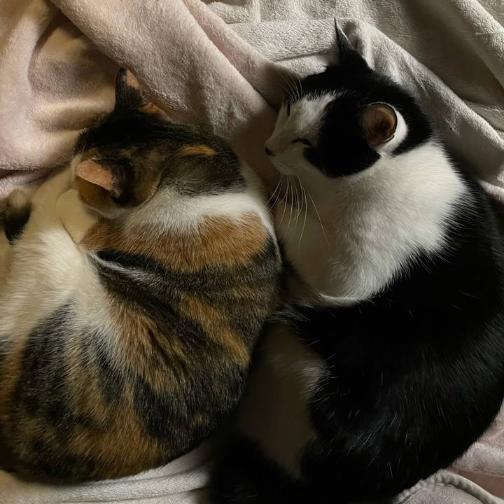 44cc4451 0528 45de aef7 95b8d9af28da 1636906574023