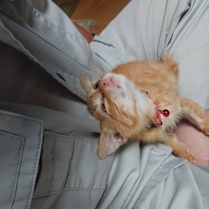 44cc6386 f593 44c6 9b2b 2035d121cfea 1629021850878