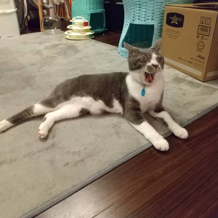 44cc773f 7656 4688 b8a5 b3f99e2215c7 1619786304899