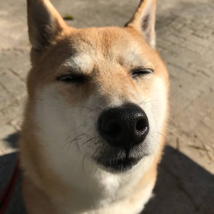 44ccb56e 9854 4fba a37b d11bcebb04d7 1509799625654