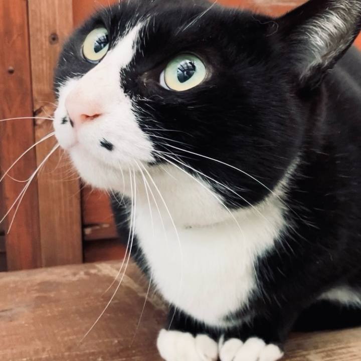 44ccdbb9 65f9 43cd a1a8 b397082528da 1743038885480