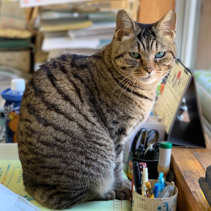 44ccfee2 70d1 4388 af88 4ab11fe26528 1551106308366