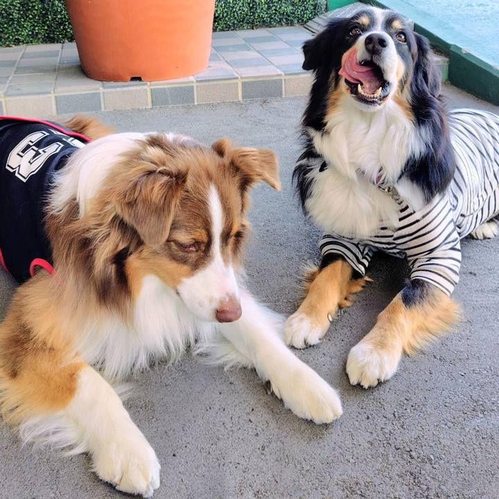 44cd1a48 4c8e 474e a332 4f4a29e5aa9e 1769858773536