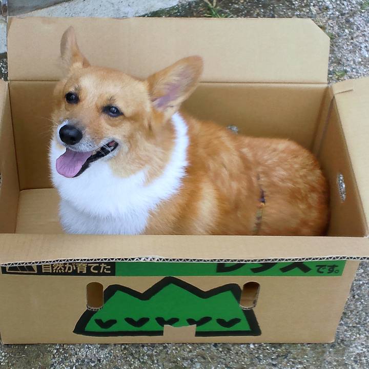 44cd85e5 678f 4b4b 93c2 3a7361ac1121 1508129980646