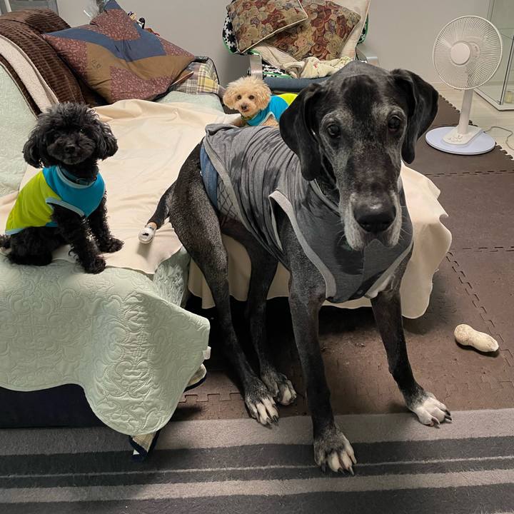 44cd8665 486e 479b b2fc 068e2f030943 1655246689347