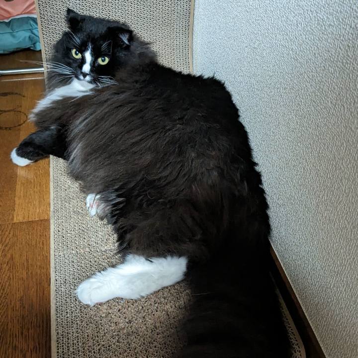 44ce17e5 72b7 4c99 b2aa c7820ae2207e 1692794140557