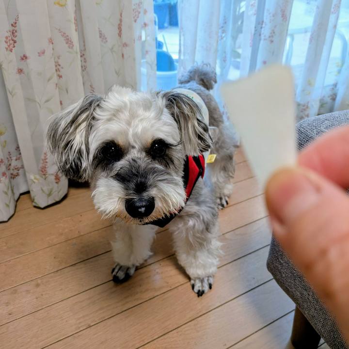 44ce3709 450c 498b 964c f217b0e49a80 1760138290488