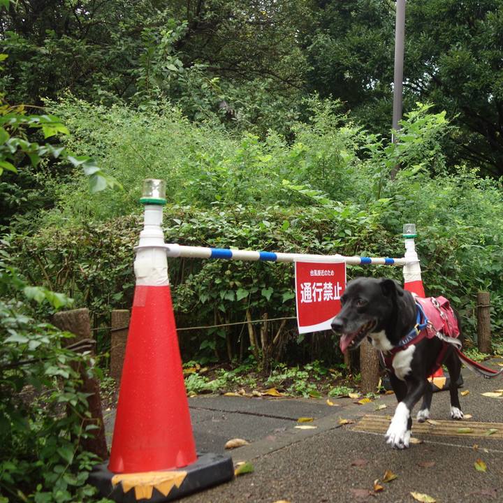 44ce3b19 289d 4645 9f6e f676a8432d29 1694219595727