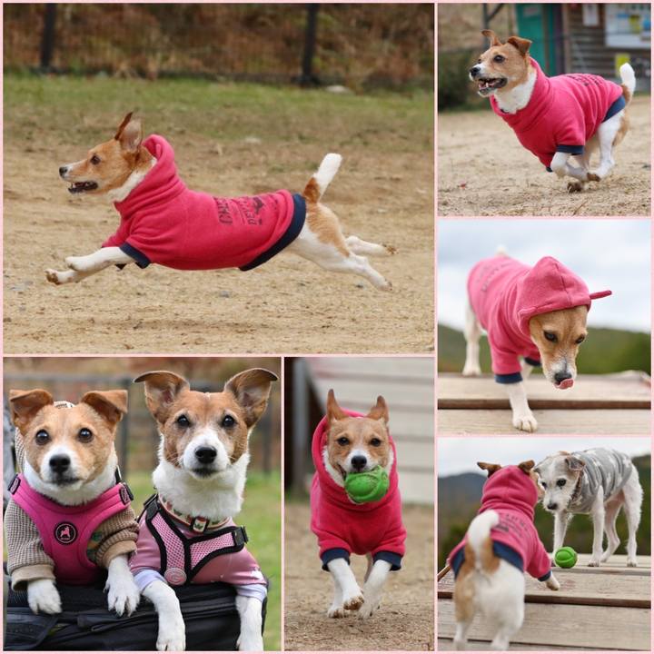 44ce6329 5169 4c39 b089 2651b451cc18 1637841015972