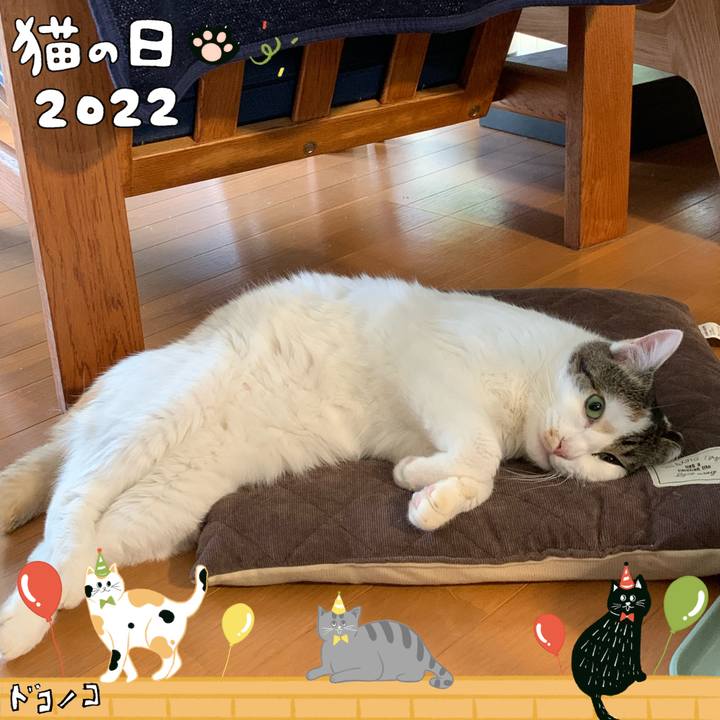 44ce732d c634 493e a2bc d9cef72860a7 1645545272188